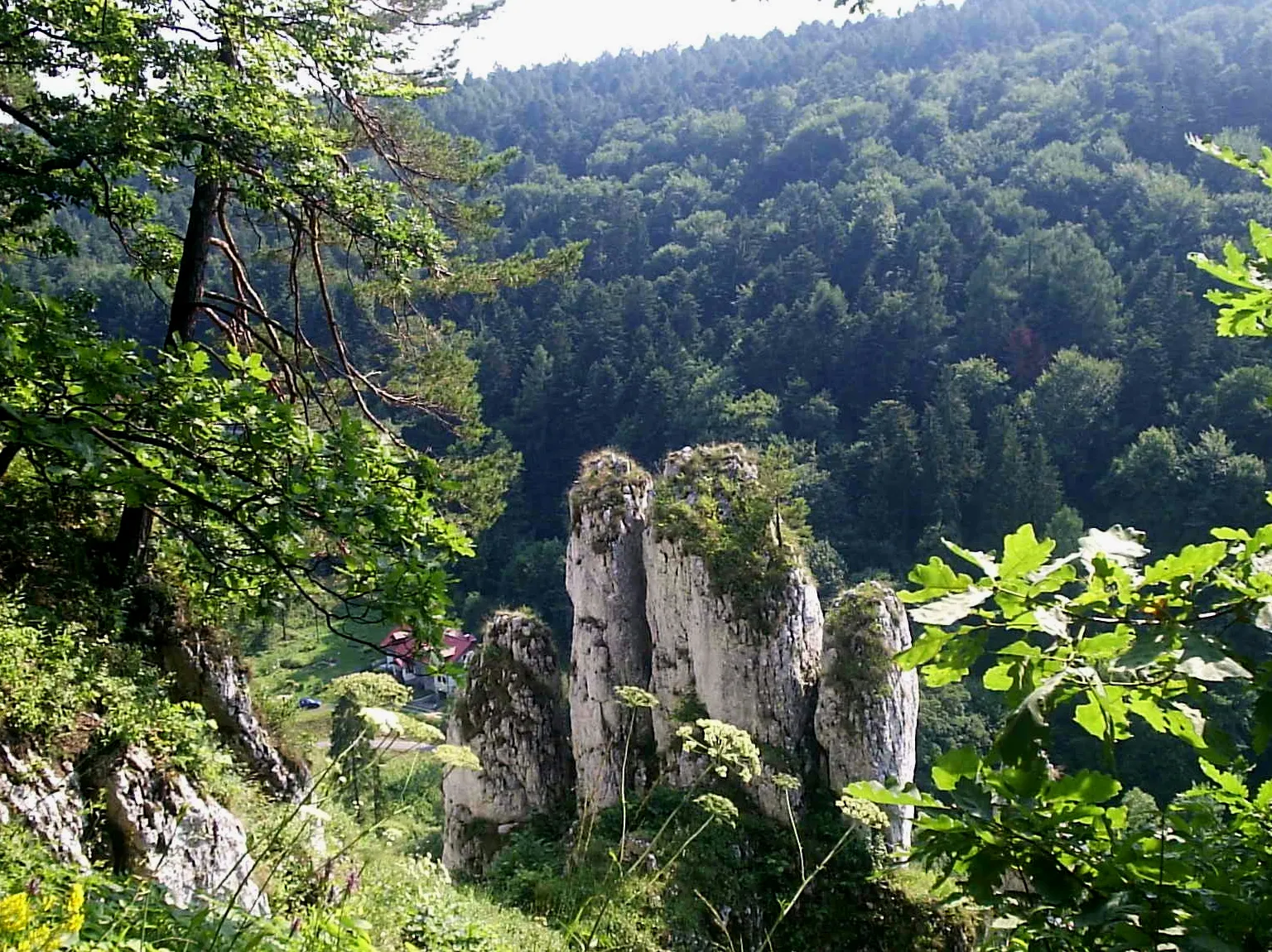Neanderthals in the caves of the Kraków-Częstochowa Upland historical image 1
