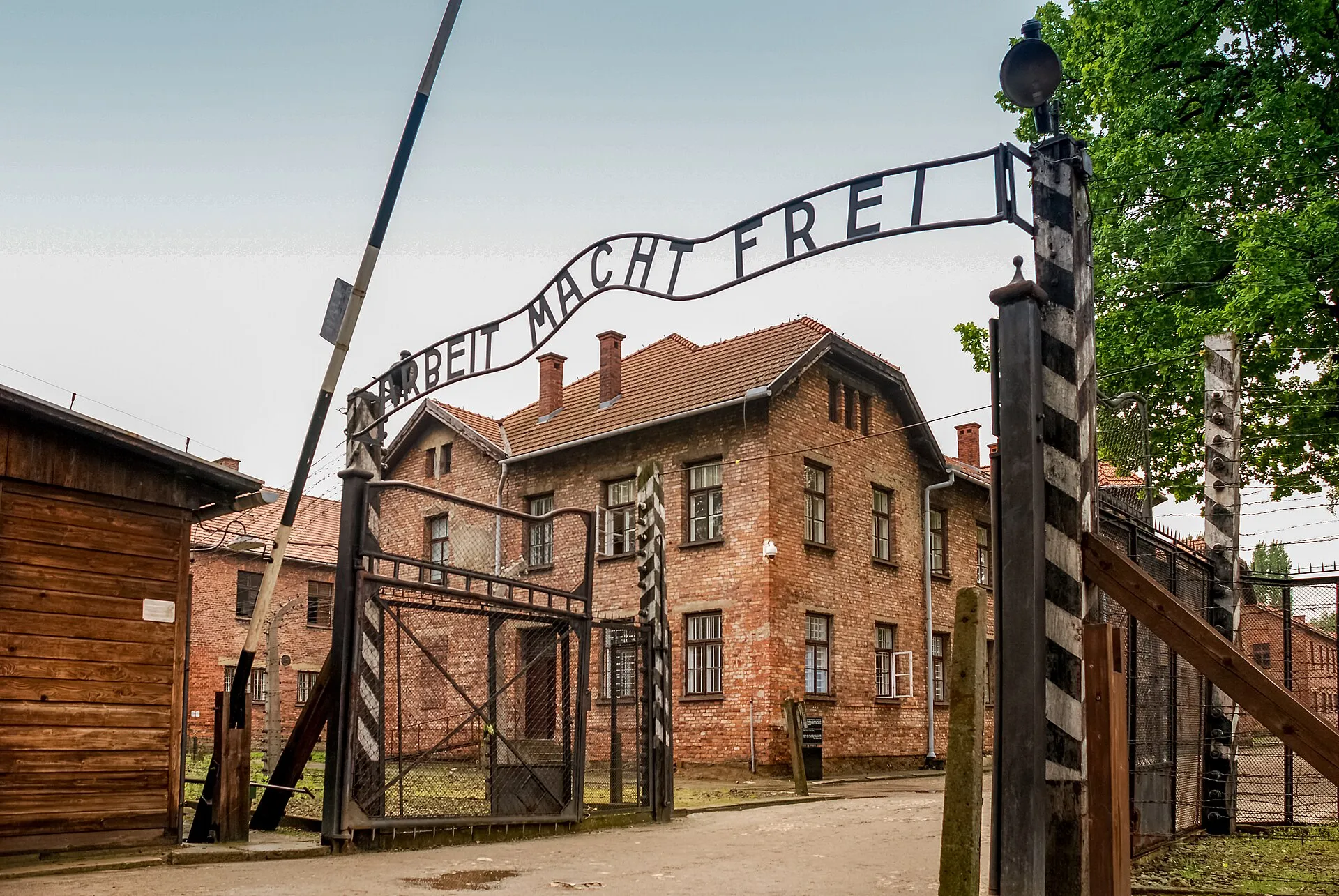 Liberation of Auschwitz historical image 1